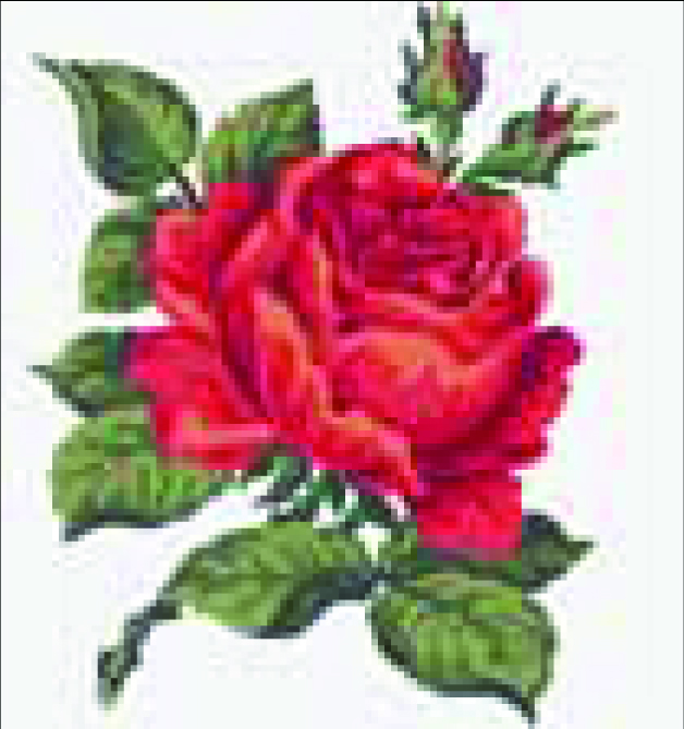 Collection d'Art Tapestry Kit - Red Rose